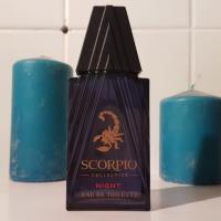 scorpio-collection-night-17-1024x768